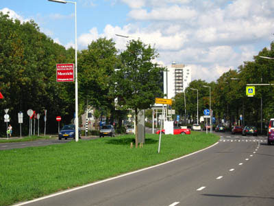 Helmut Smits, Tree in front of Billboard (2006)